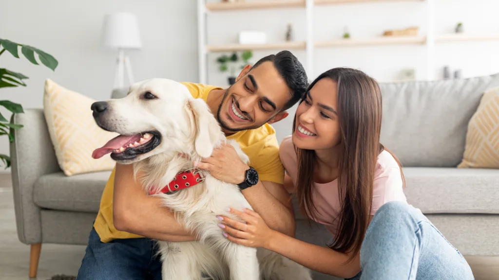 Man and woman petting their Golden Retriever in their living room and smiling dog is also very happy and is panting. New pet-friendly apartment homes for rent with private fenced backyards in Arizona, Texas, Florida, and North Carolina with pool, pickleball, dog park, gym, clubhouse and gated community. *No breed or weight restrictions. Yardly